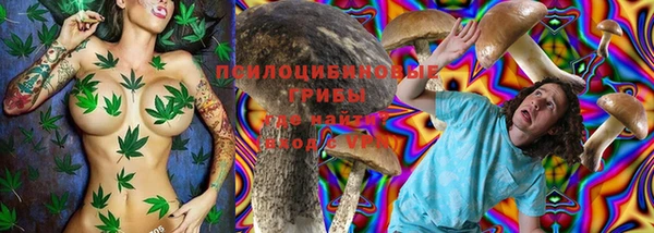 гидра Абдулино