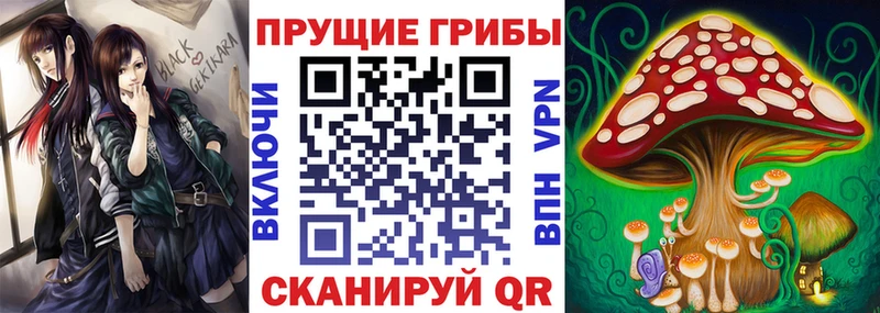 Псилоцибиновые грибы GOLDEN TEACHER  Касли 